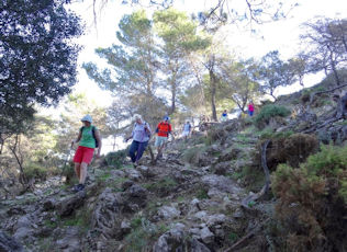 torrox5