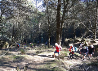 torrox6