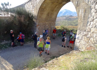 torrox9